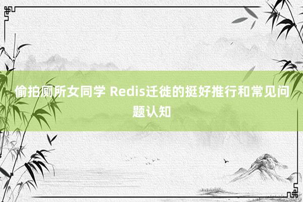 偷拍厕所女同学 Redis迁徙的挺好推行和常见问题认知