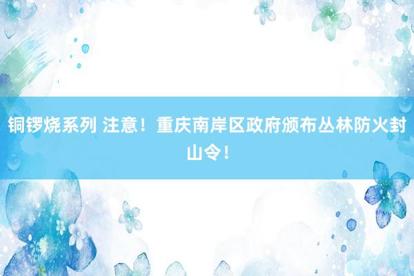 铜锣烧系列 注意！重庆南岸区政府颁布丛林防火封山令！