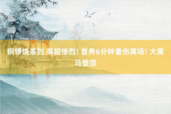 铜锣烧系列 英超惨烈! 首秀6分钟重伤离场! 大黑马登顶
