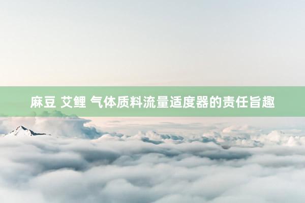 麻豆 艾鲤 气体质料流量适度器的责任旨趣