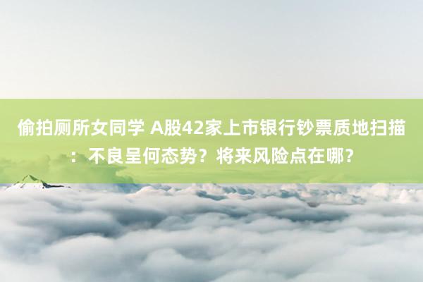偷拍厕所女同学 A股42家上市银行钞票质地扫描：不良呈何态势？将来风险点在哪？