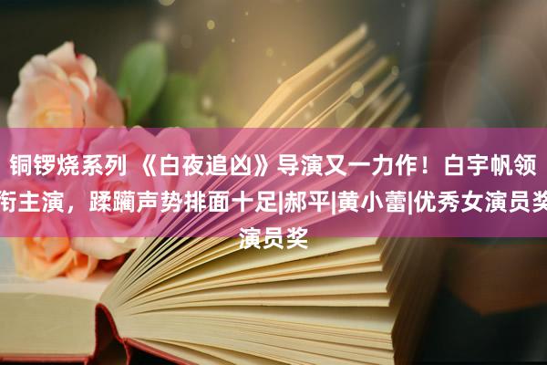 铜锣烧系列 《白夜追凶》导演又一力作！白宇帆领衔主演，蹂躏声势排面十足|郝平|黄小蕾|优秀女演员奖