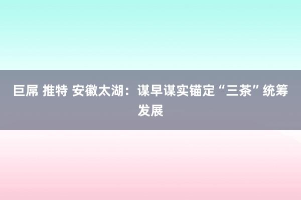 巨屌 推特 安徽太湖：谋早谋实锚定“三茶”统筹发展
