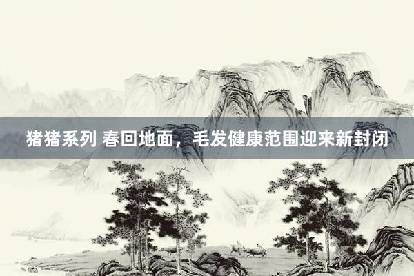 猪猪系列 春回地面，毛发健康范围迎来新封闭