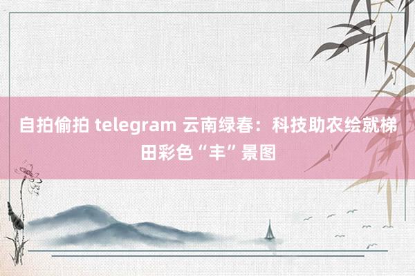 自拍偷拍 telegram 云南绿春：科技助农绘就梯田彩色“