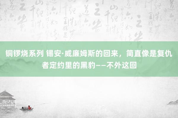 铜锣烧系列 锡安·威廉姆斯的回来，简直像是复仇者定约里的黑豹