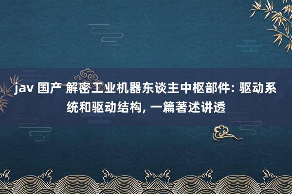 jav 国产 解密工业机器东谈主中枢部件: 驱动系统和驱动结