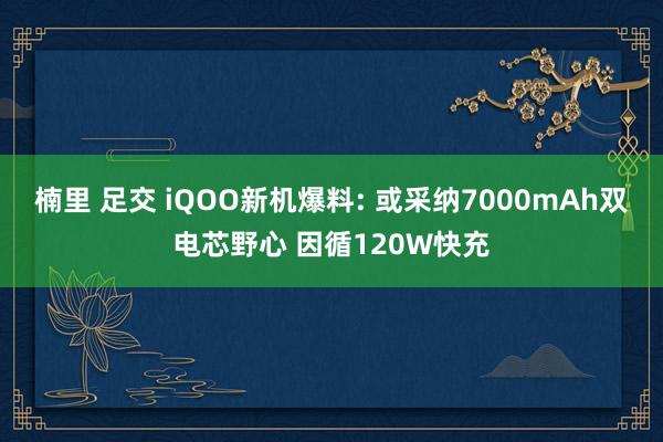 楠里 足交 iQOO新机爆料: 或采纳7000mAh双电芯野