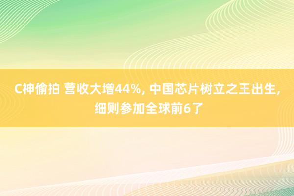 C神偷拍 营收大增44%, 中国芯片树立之王出生, 细则参加
