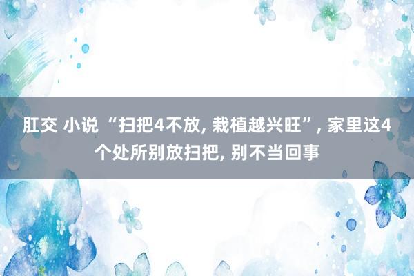 肛交 小说 “扫把4不放, 栽植越兴旺”, 家里这4个处所别