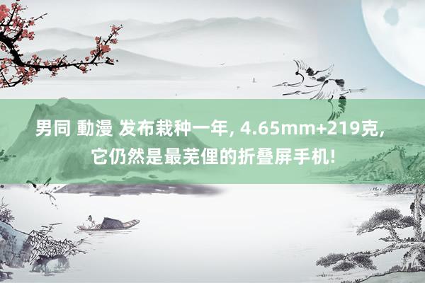 男同 動漫 发布栽种一年, 4.65mm+219克, 它仍然