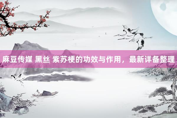 麻豆传媒 黑丝 紫苏梗的功效与作用，最新详备整理
