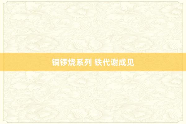 铜锣烧系列 铁代谢成见